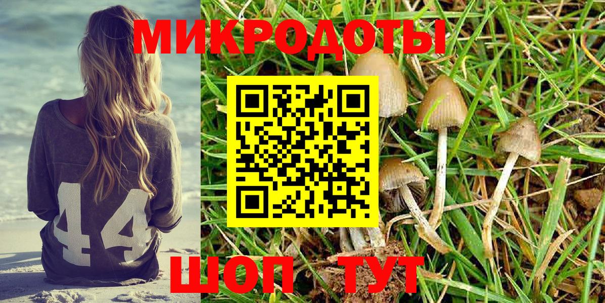 Удомля  Псилоцибиновые грибы Psilocybine cubensis  Вход с VPN 